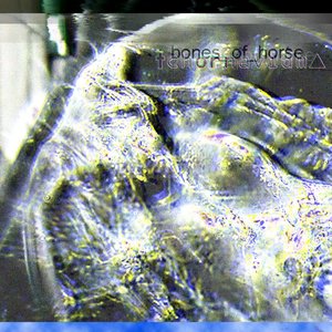 Bones_of_horse