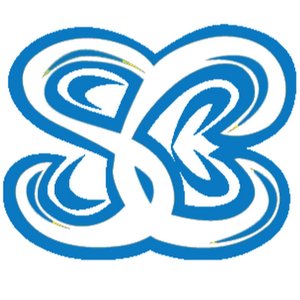 Senses Circuit 的头像