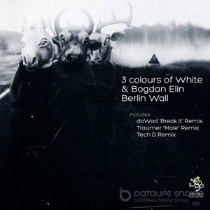 3 colours of white & bogdan elin 的头像