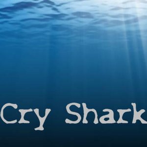 Cry Shark 的头像