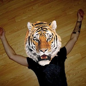 Avatar for hi, tiger