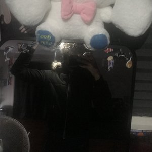 NASIPHUS 的头像