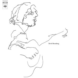 David Bromberg