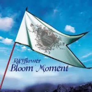 Bloom Moment