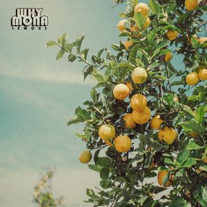 Lemons - Single