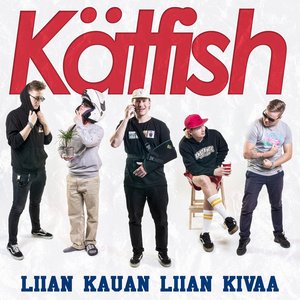 Liian kauan liian kivaa