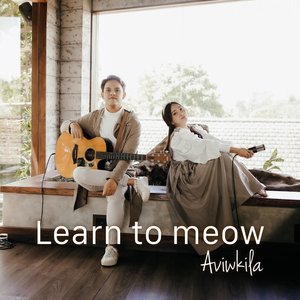 Learn to Meow