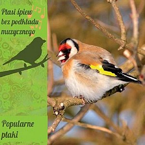 Songs and Calls of Popular Polish Birds