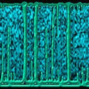 Avatar for Drowned in Sewage Liquids