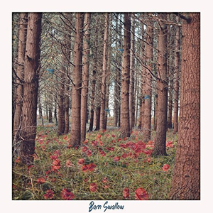 My Dear Barn Swallow Lyrics Song Meanings Videos Full Albums Bios sonichits