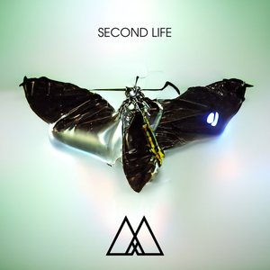 Second Life