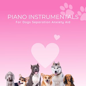 Piano Instrumentals For Dogs Separation Anxiety Aid