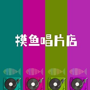 摸鱼唱片店