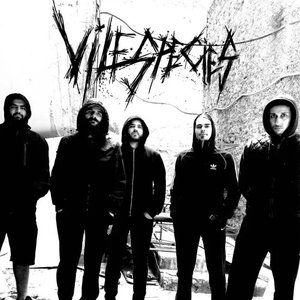 Vile Species 的头像