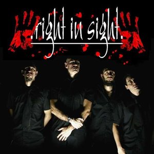 Right In Sight 的头像