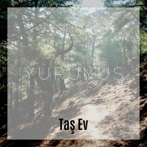 Yürüyüş