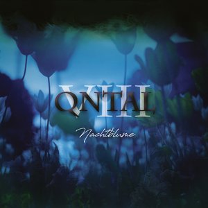 Qntal VIII: Nachtblume