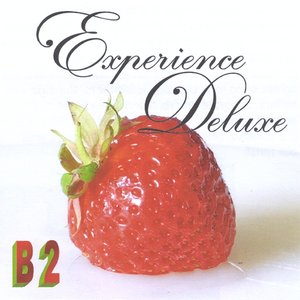 B2