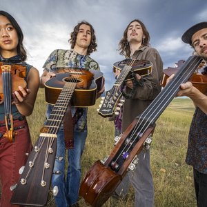 Broken Compass Bluegrass 的头像