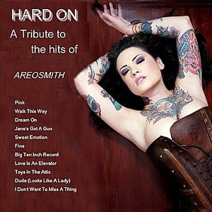 A Tribute To The Hits of Aerosmith