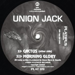 Cactus / Morning Glory