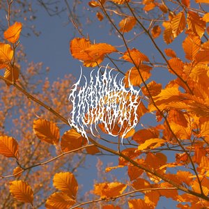 Leaves - EP