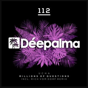 Millions of Questions (Incl. Rich Vom Dorf Remix)