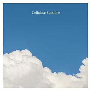 White Clouds