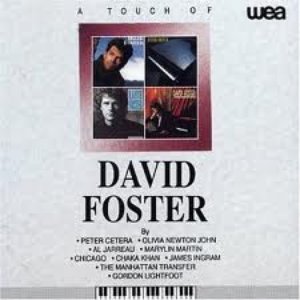 Image for 'A Touch of David Foster'