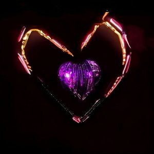 HEART MIXTURE