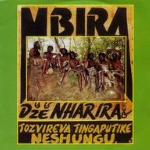 Tozvireva Tingaputike Neshungu