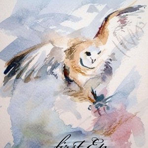 Untitled Album