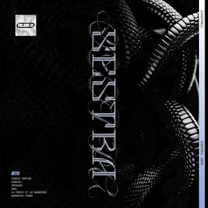 VASSTR01, Vol. 1