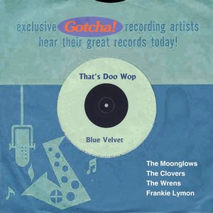 Blue Velvet (That's Doo Wop)