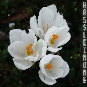 Self Titled EP
