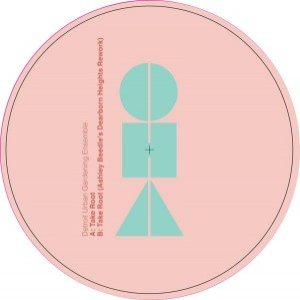 Detroit Urban Gardening Ensemble 的头像
