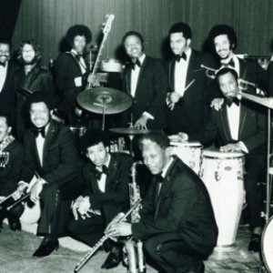 Nat Kendrick & The Swans 的头像