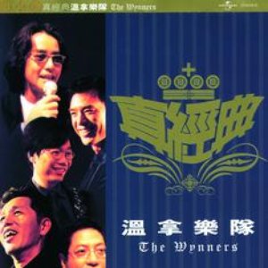 Zhen Jin Dian-The Wynners