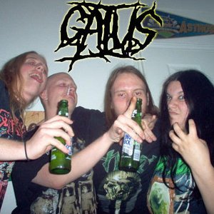 Avatar for Gaius