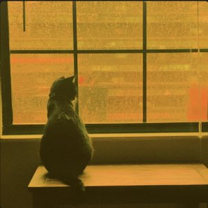 Cruise - Single