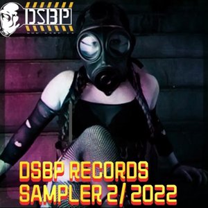 DSBP Records Sampler 2/22!