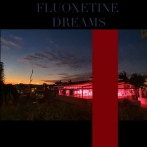 Fluoxetine Dreams