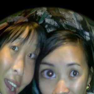 The Honey Dos 的头像