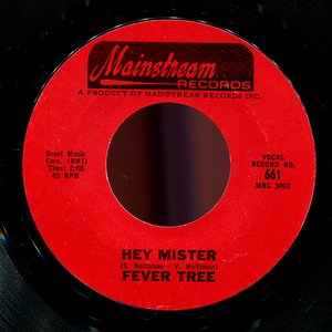 Hey Mister