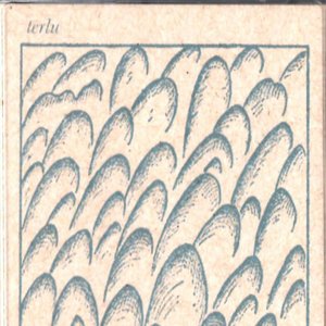 terlu 的头像
