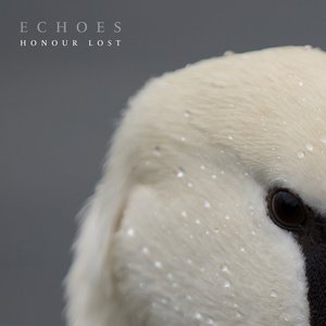 Honour Lost - Single