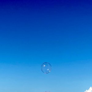 Charm the Wind