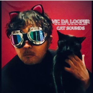 Cat Sounds