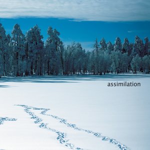 Assimilation