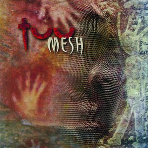 Image for 'Mesh'